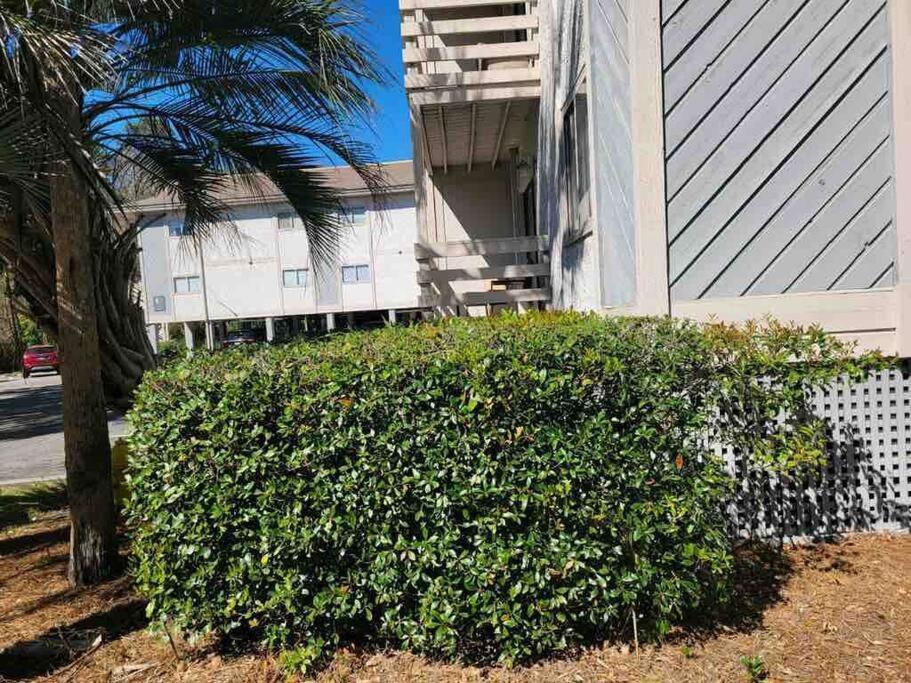 2022 Renovated 2-Bdrm Cozy, Lovely Condo W/Parking! Île de Hilton-Head Extérieur photo